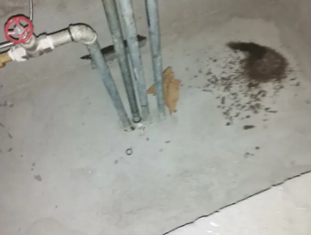 旬邑卫生间测漏水价格明细