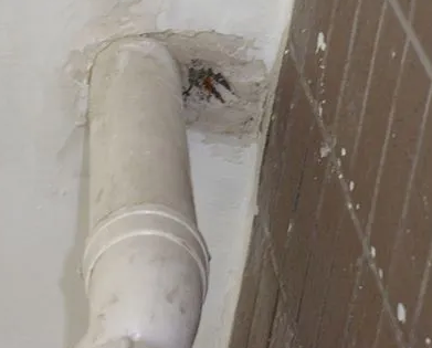 旬邑漏水检测哪家好